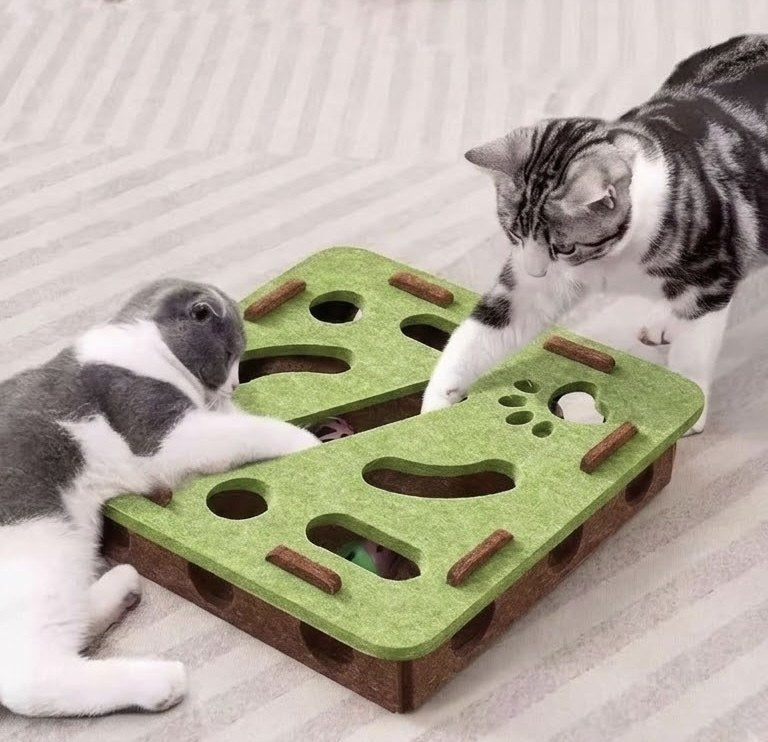 Deux chats qui jouent avec une boîte de jeu en feutre