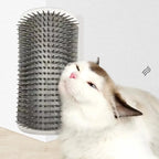 Chat se frottant la joue contre la brosse d’angle