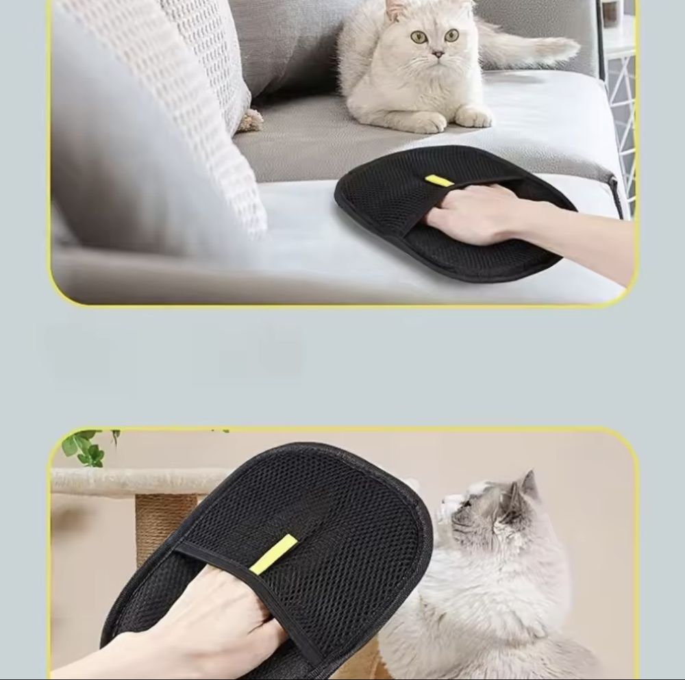 Le gant sur le canapé, à côté du chat