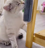 Des chats qui se frottent contre la brosse d’angle